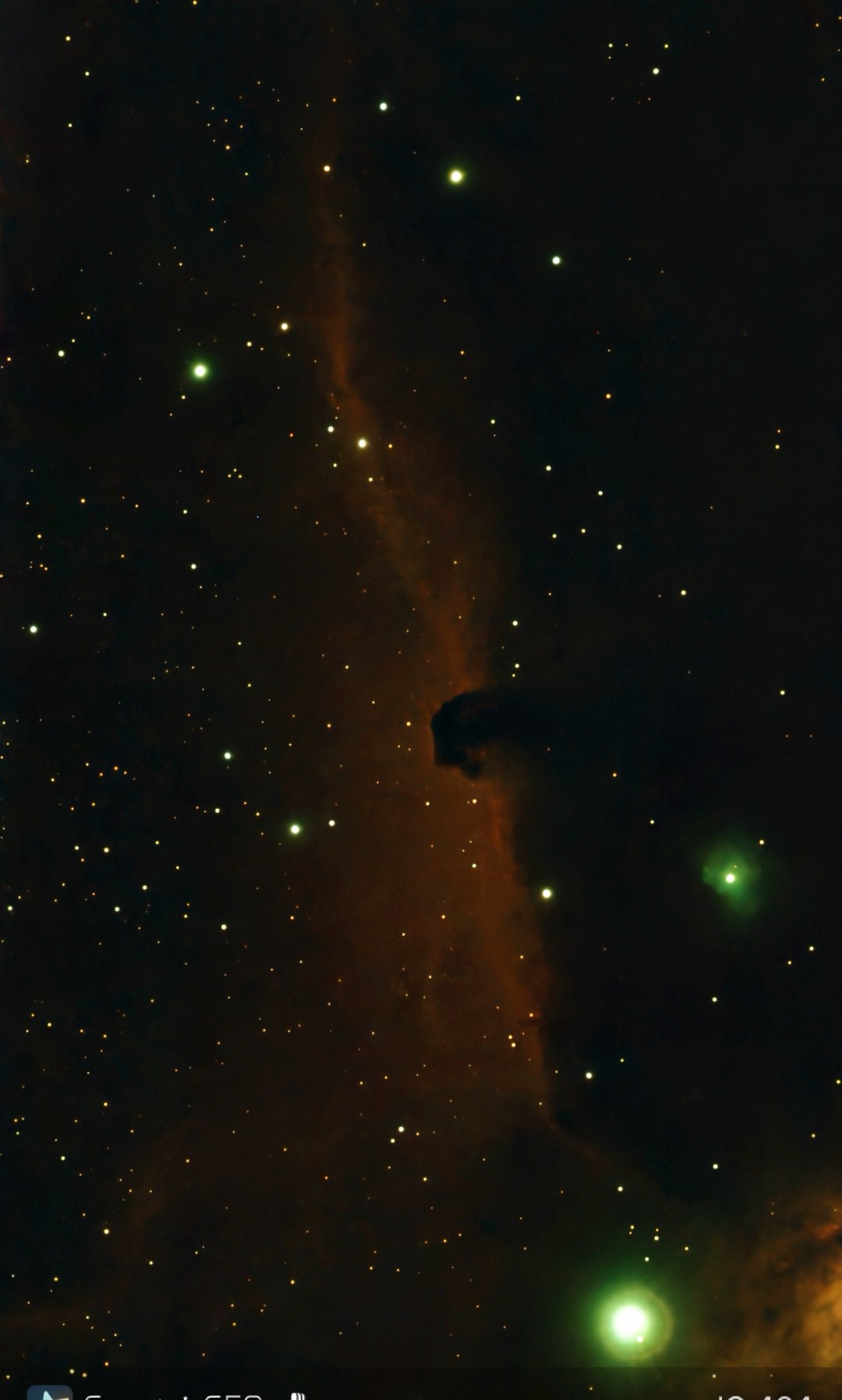 The Horsehead Nebula (IC 434)