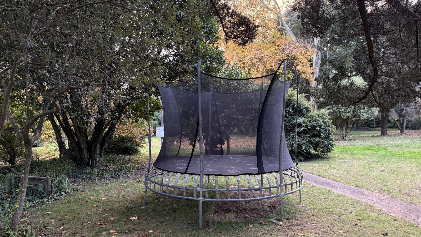 The trampoline under the trees