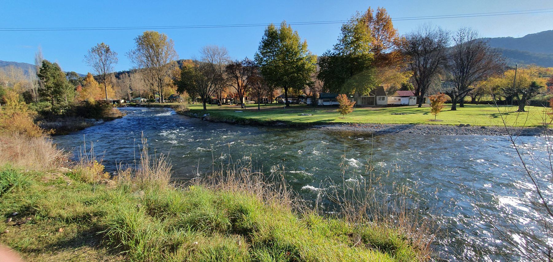 The Kiewa River running fast under autumn trees