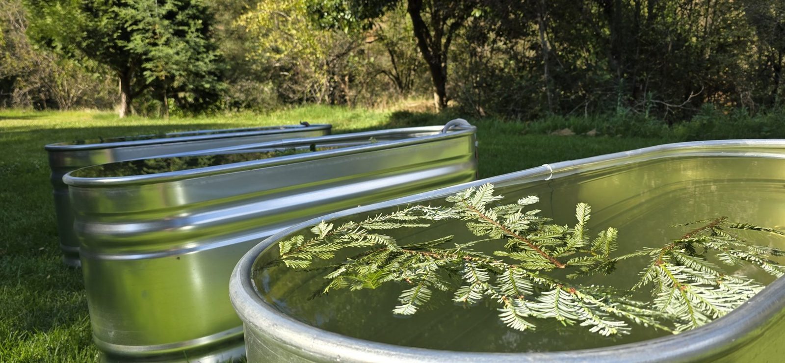 Two stainless plunge tubs