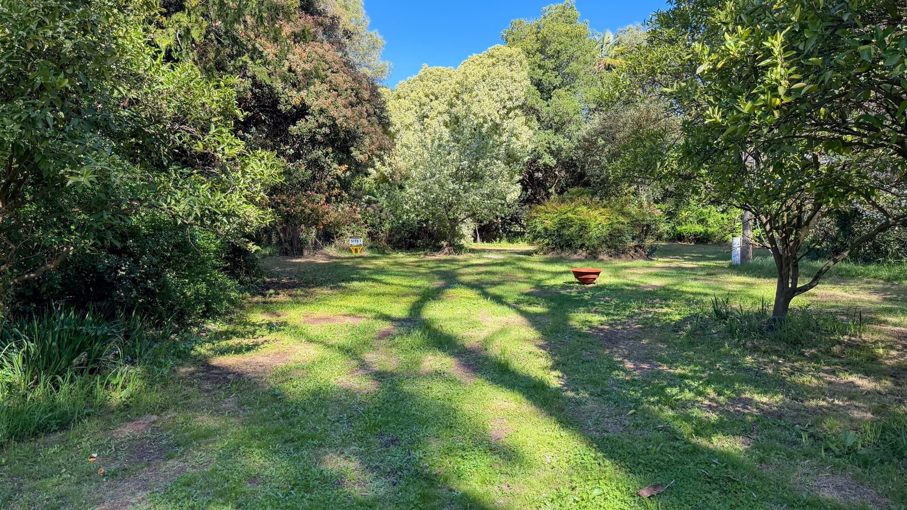 The campsite at The Banya Place, Bright: lawn and firepit among the old trees