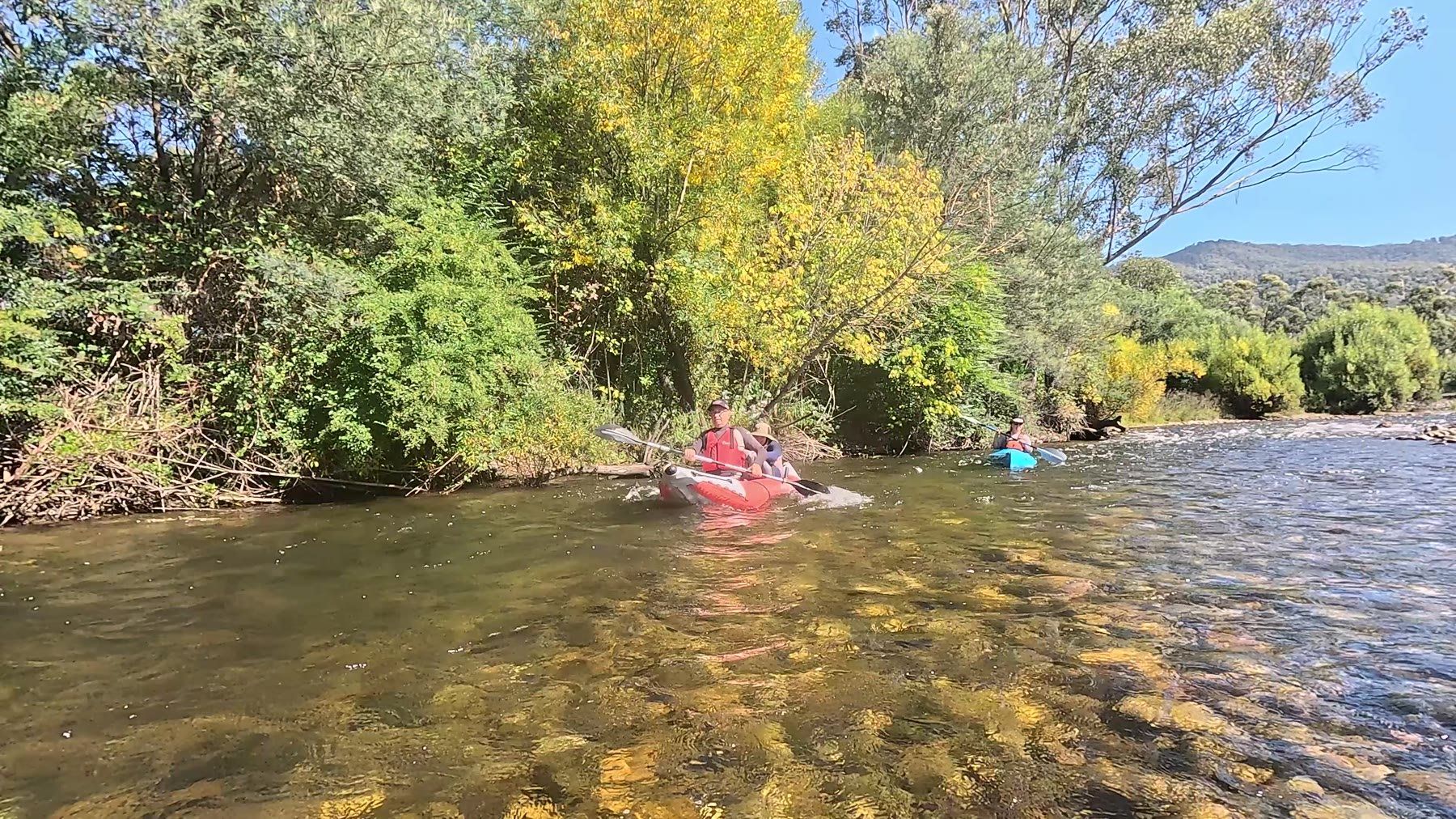 Kayaking on a clear river between willows