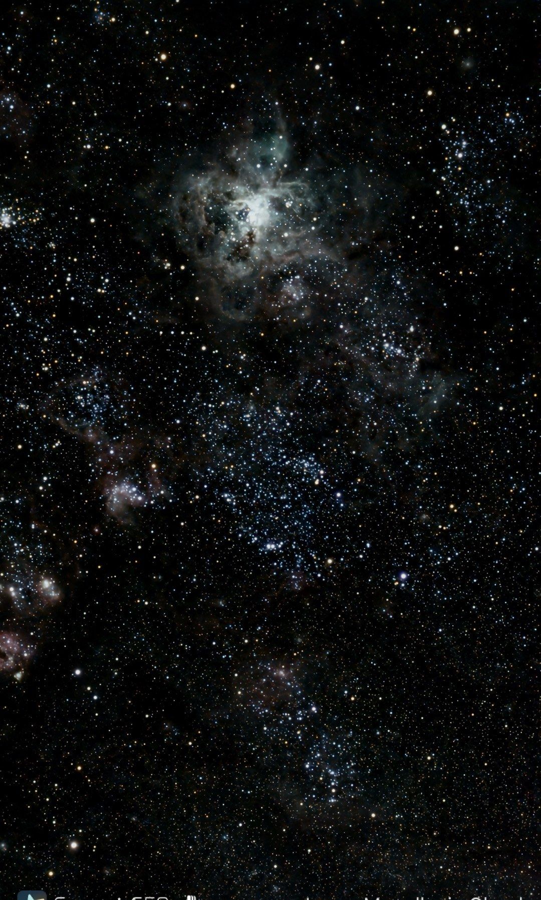 The Large Magellanic Cloud