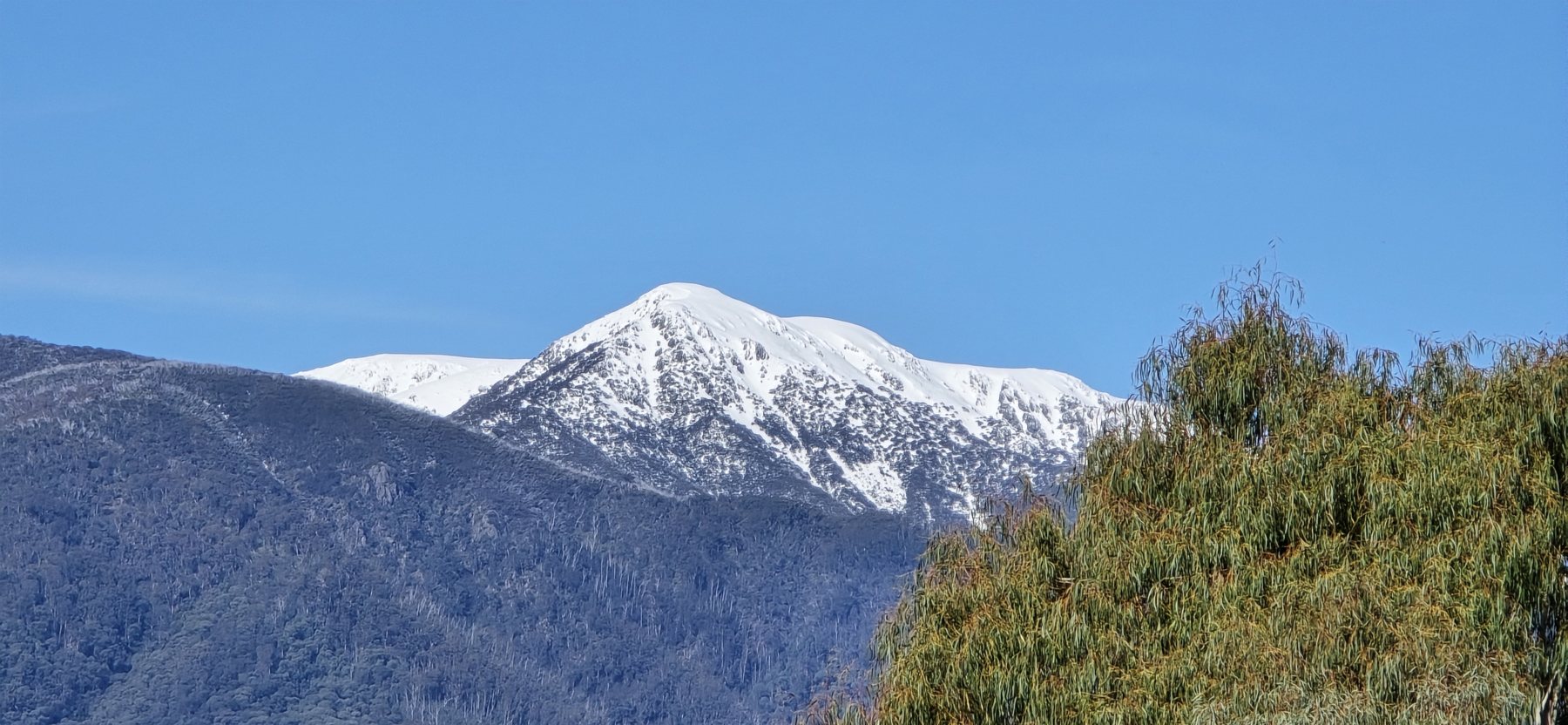 Mt Bogong, Victoria's highest mountain, with snow on its peaks — the view from the Log Banya