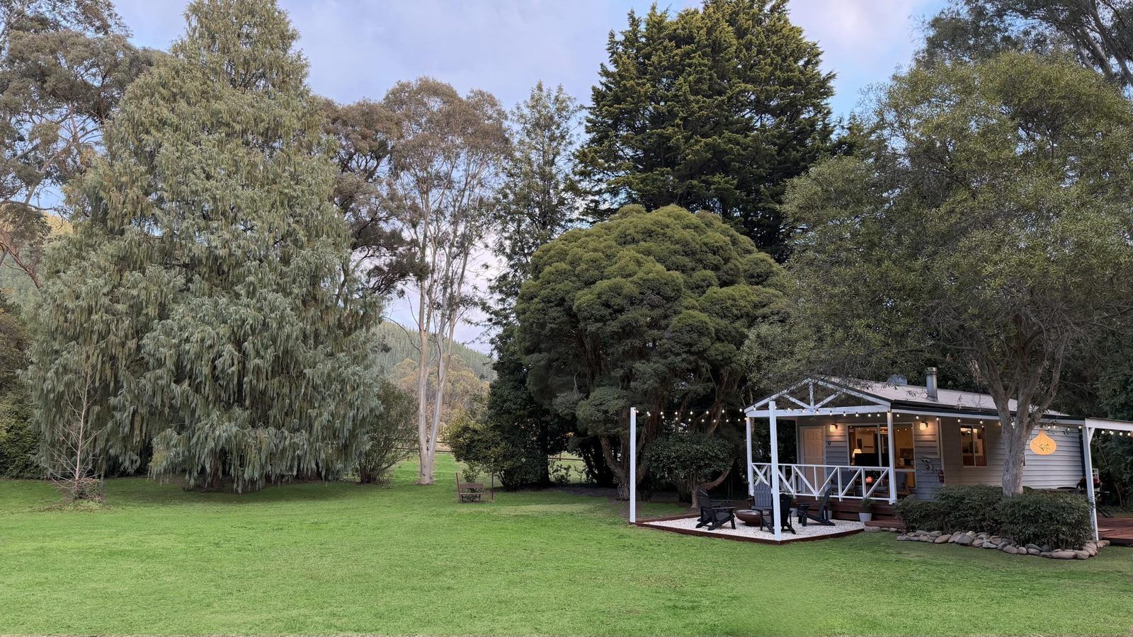 The lawn running out to the trees, the cabin behind